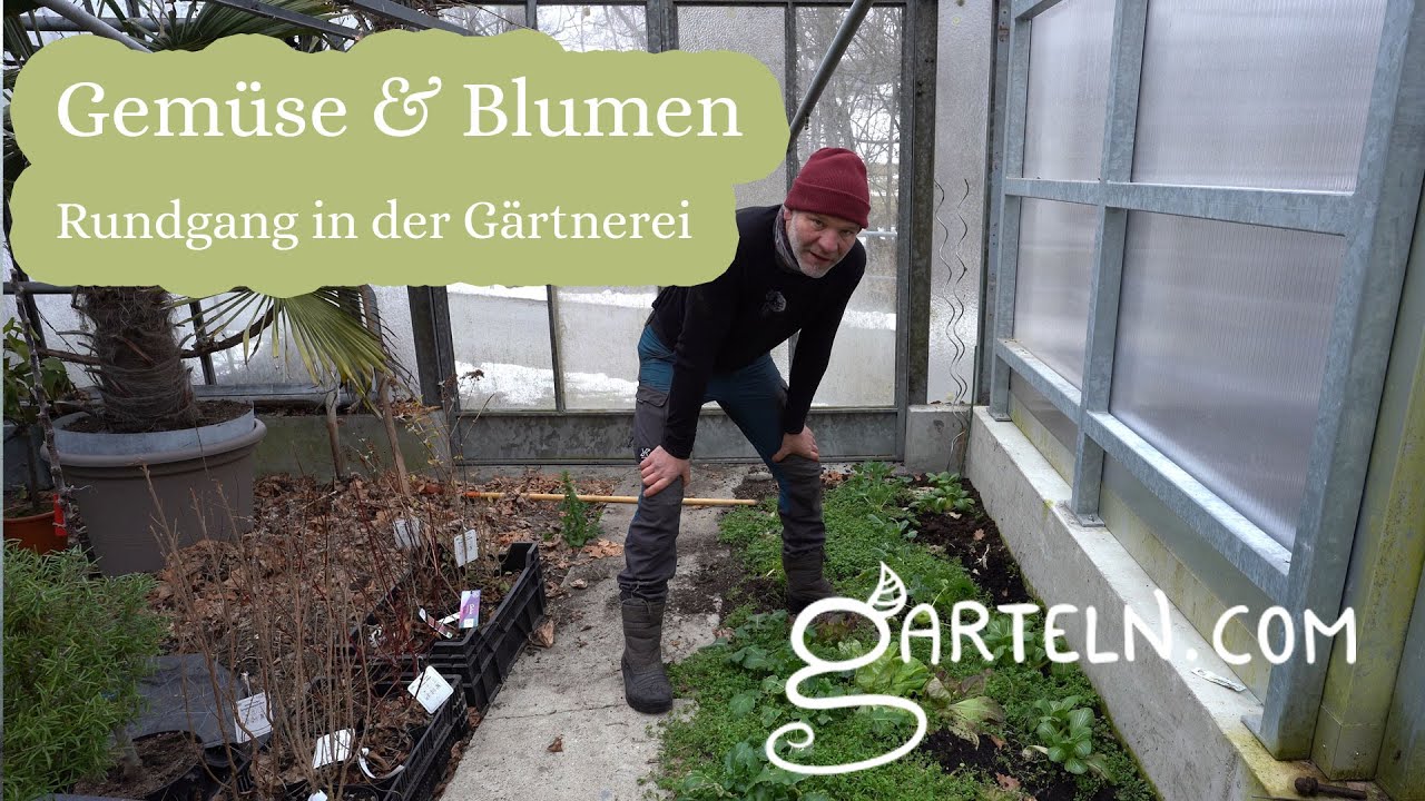 Gem&uuml;se & Blumen Rundgang in der G&auml;rtnerei