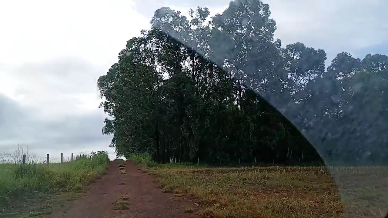 Um Passeio Inesquecível,Muitas Lembranças 