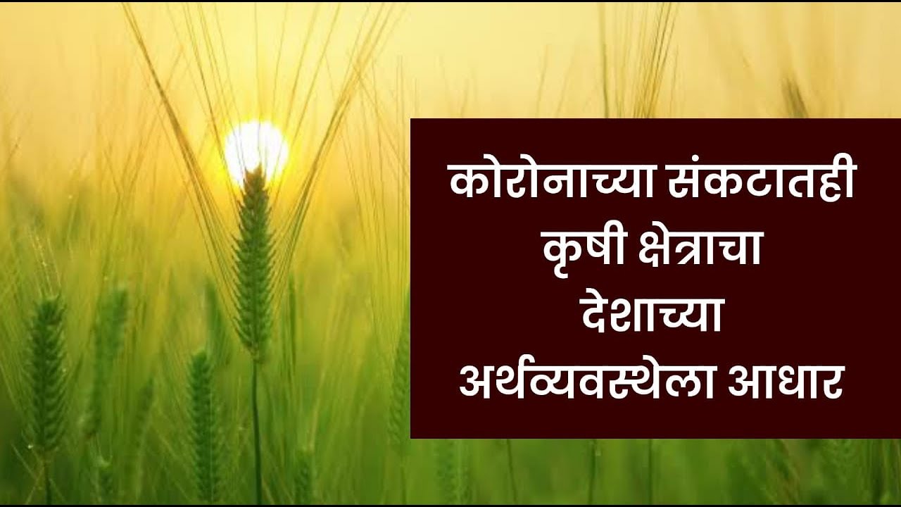 जीडीपीची विक्रमी गटांगळी | Agrowon