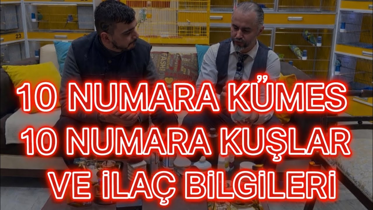 10 Numara Kümes! Özel Muhabbet Kuşları ve İlaç Bilgileri