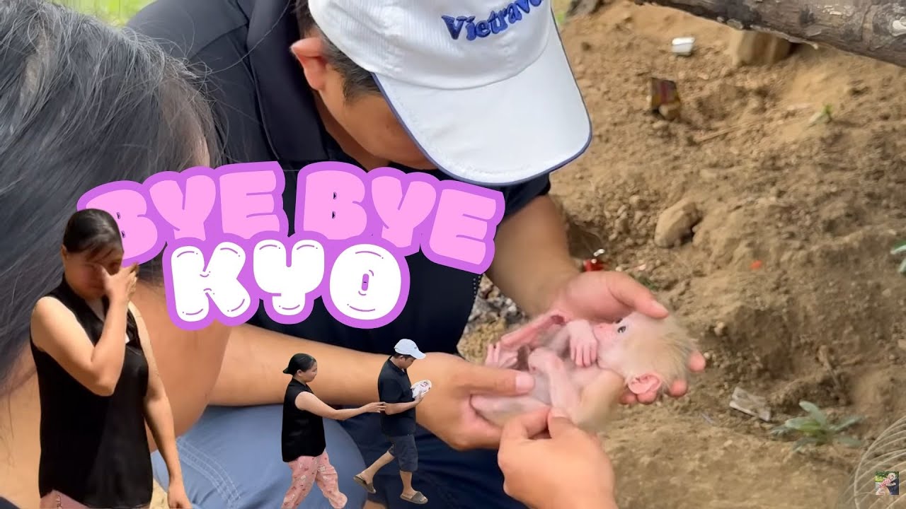 A Memory to Remember 💔 The Day Dad Adopted Baby Monkey Kyo During a Rescue Mission