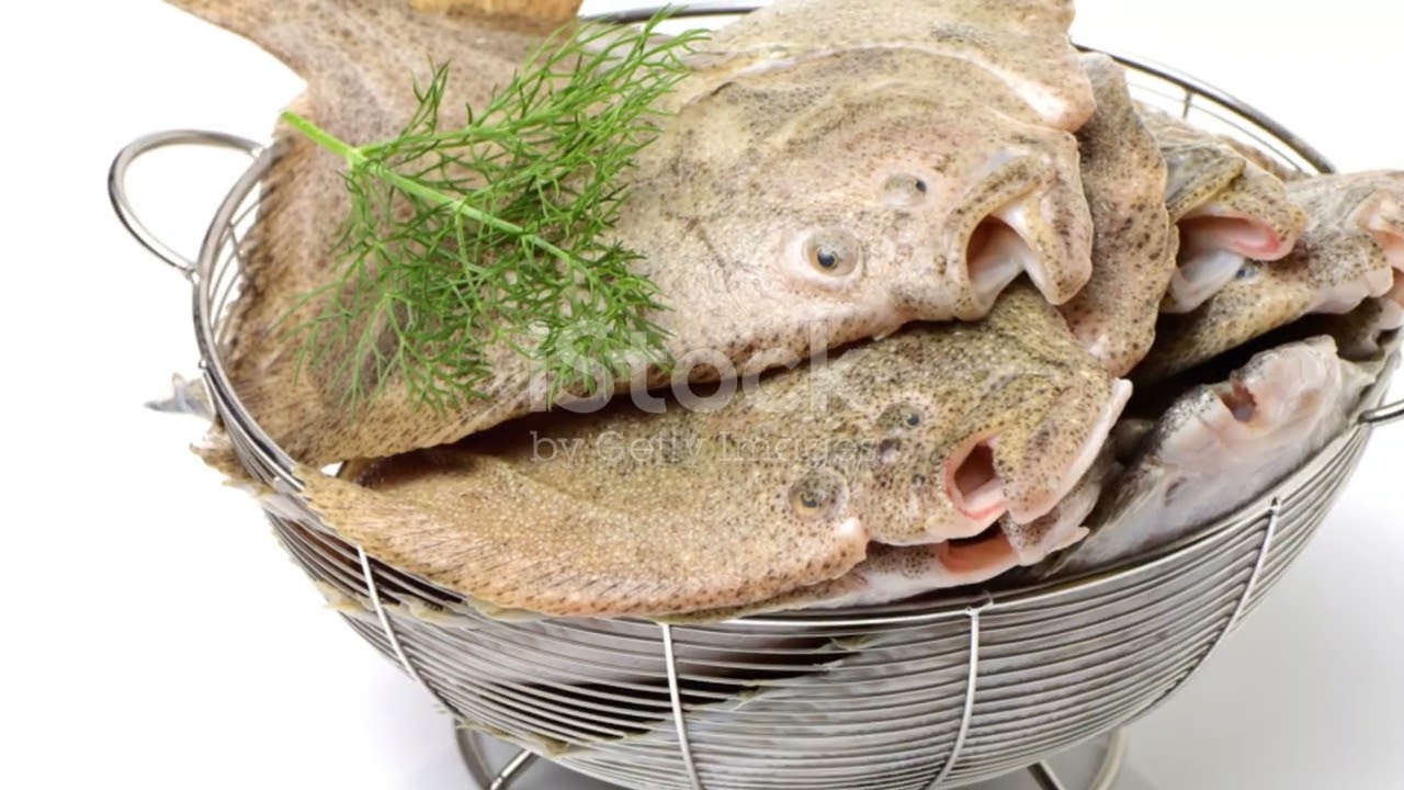 Exploring Turkmenistan's Underwater World: Fish Diversity in the Caspian Sea #animal2024 #wildlife