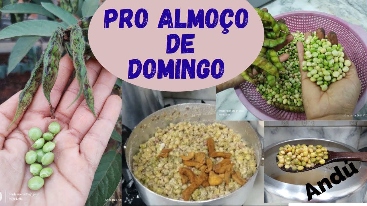 😋COMO preparar o FEIJÃO ANDÚ , como fazer farofa de feijão guandú😋😋