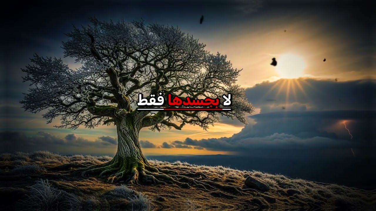 1% فقط من الرجال يعرفون هذا السر | علم النفس الأنثوي
