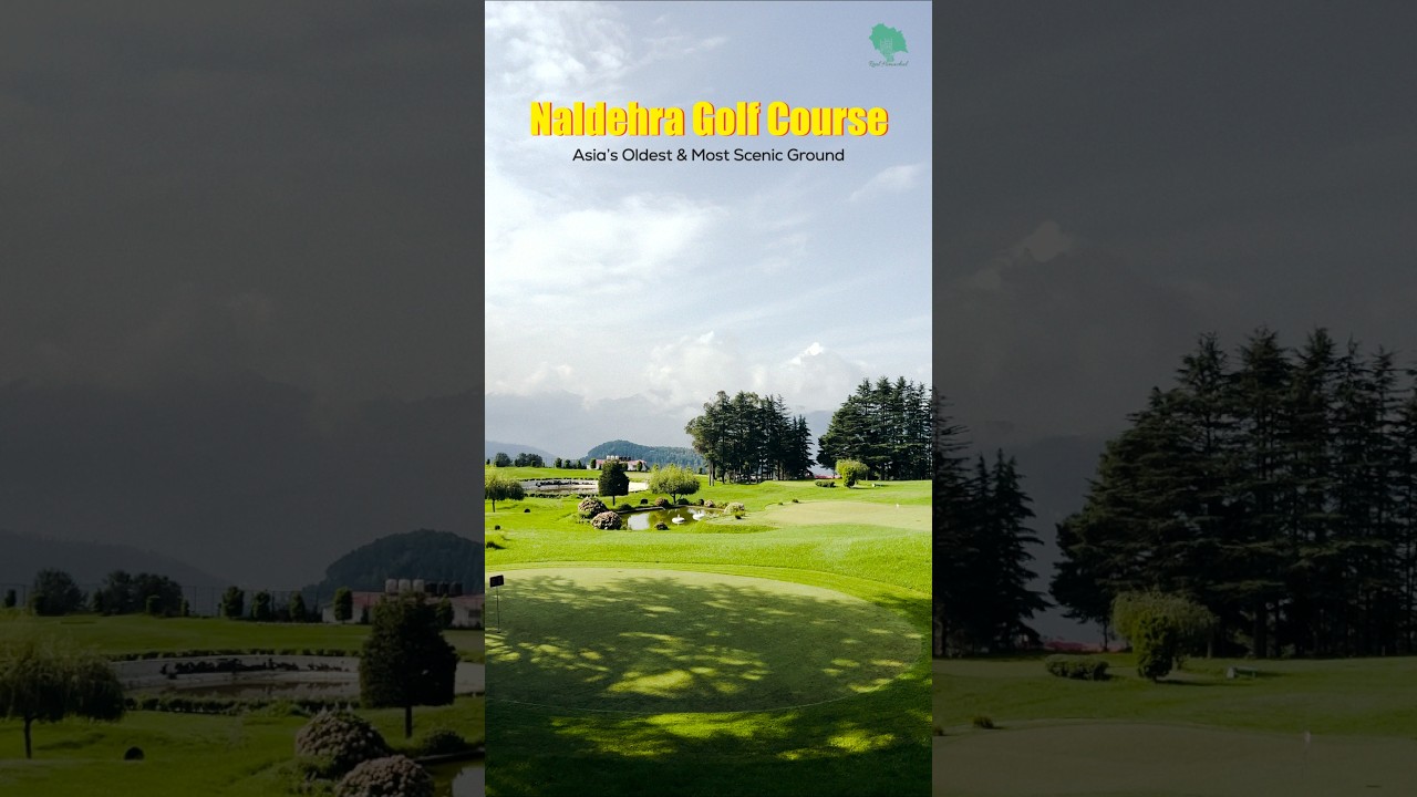 Experience the Serenity of Naldehra Golf Course - Shimla #realhimachal #travel #naldehra