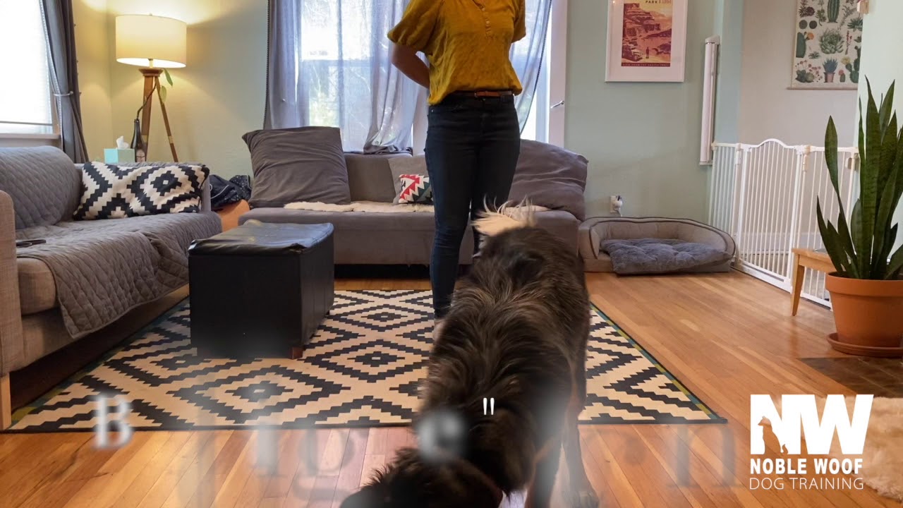 Up & Down game- Building loose leash walking Position