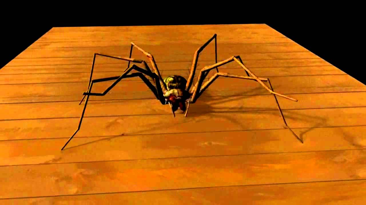 Tegenaria Atrica - model 3D