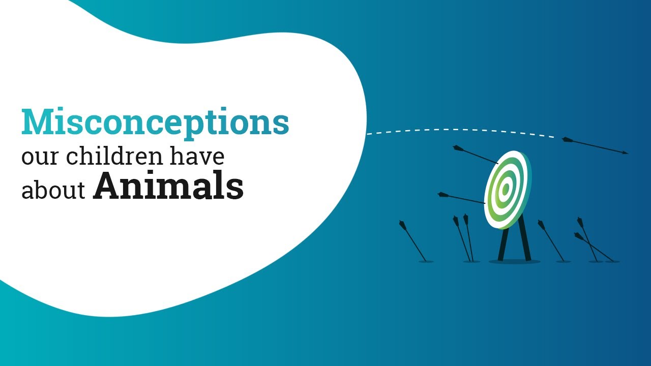 Misconceptions our children have about Animals | Educational Initiatives