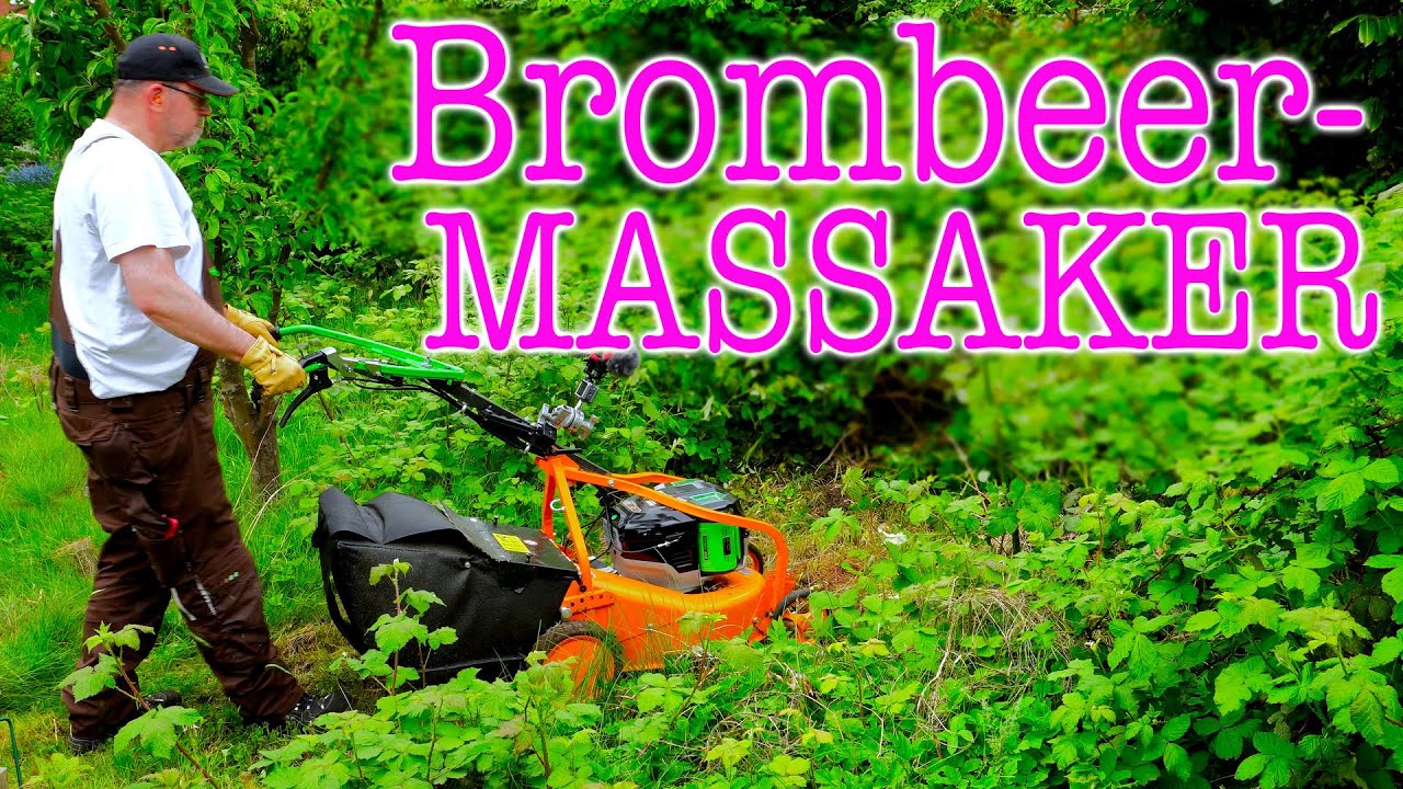 BrombeerMassaker, AS Motor, AS 531, EGO Power