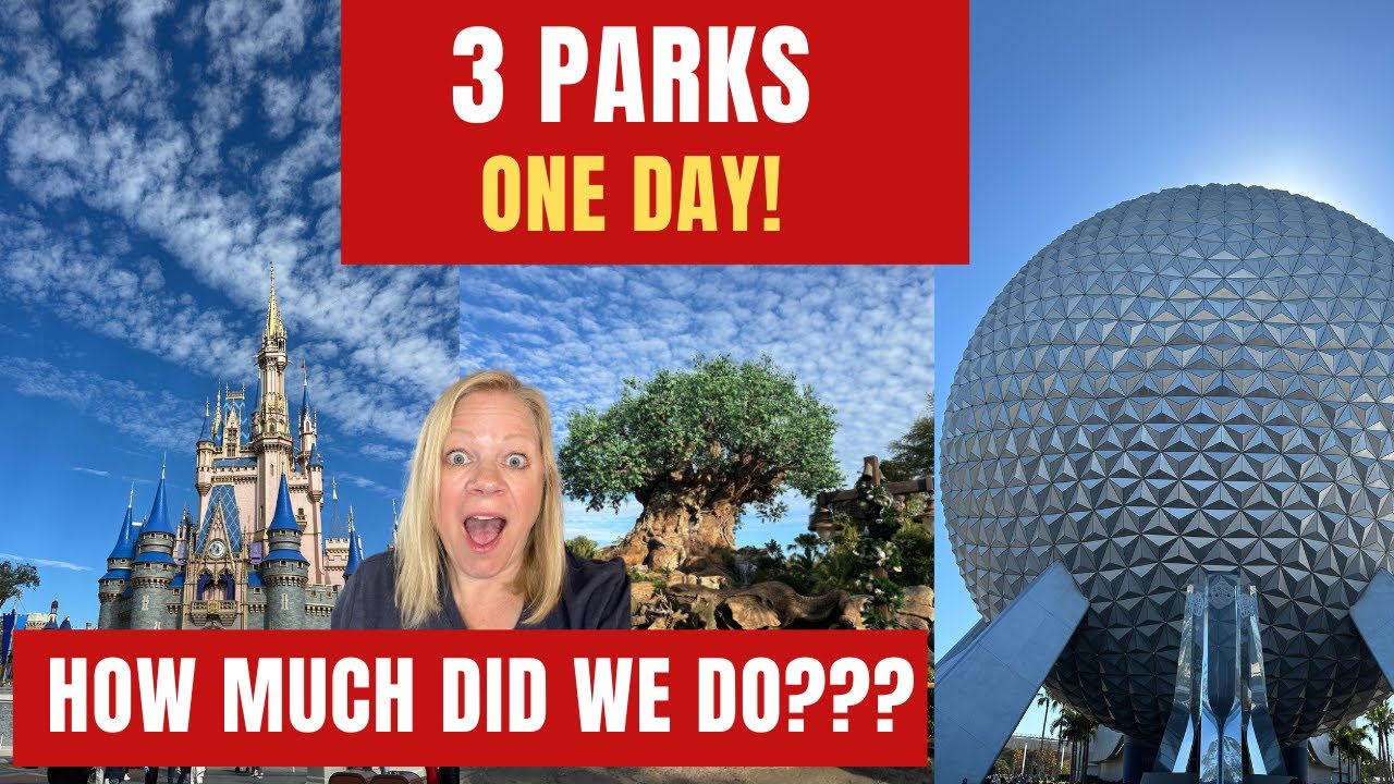 3 Parks 1 Day | 