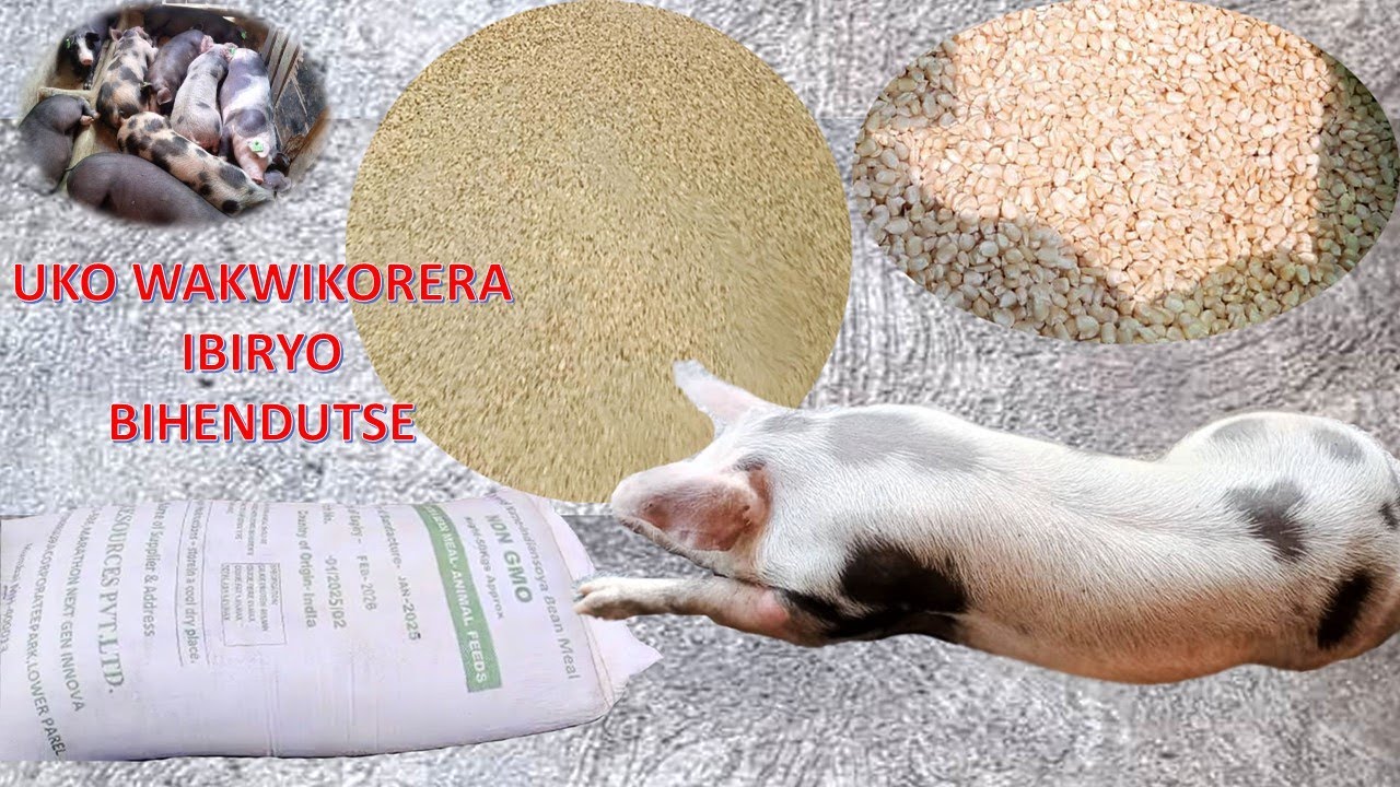 UKO WAKIKORERA IBIRYO BIHENDUTSE N’AHO WABISANGA
