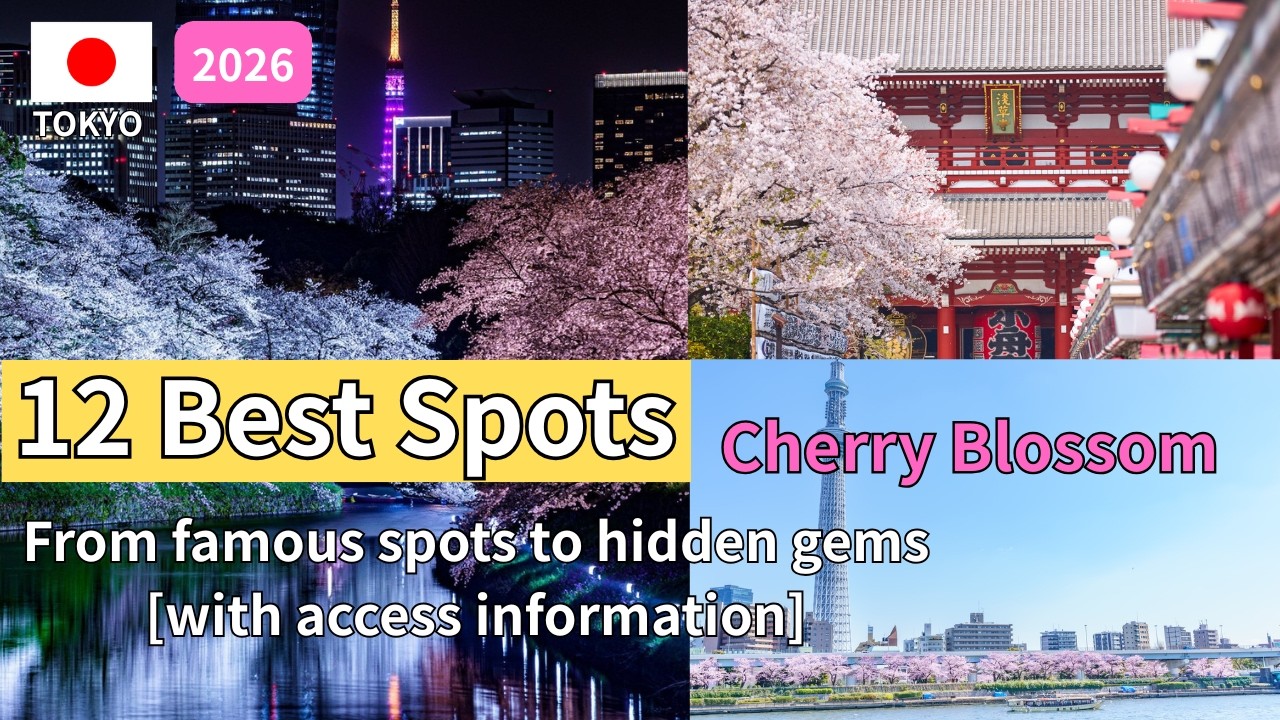 TOKYO Cherry Blossom Spots 2026: 12 Best SAKURA Spots You Must Visit (Full Guide)