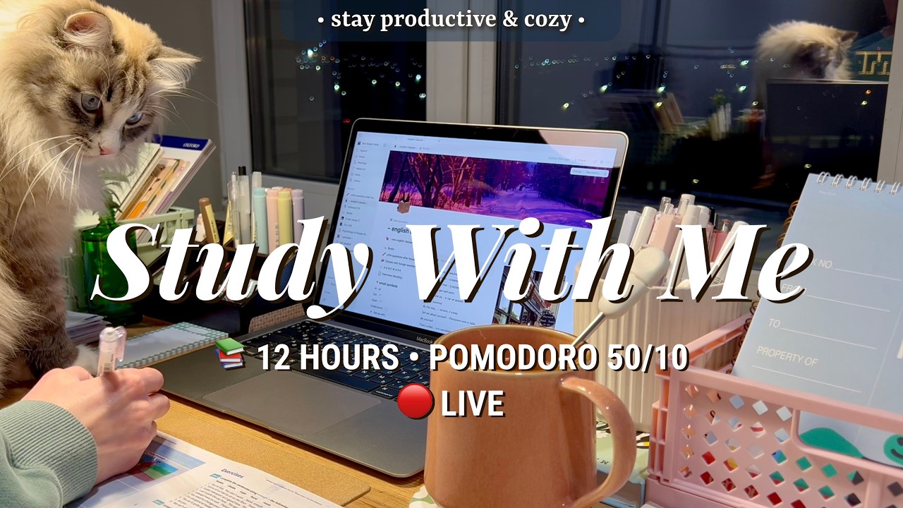 [LIVE] 12 HR • STUDY WITH ME • Pomodoro 50/10 🔥 Fireplace sound