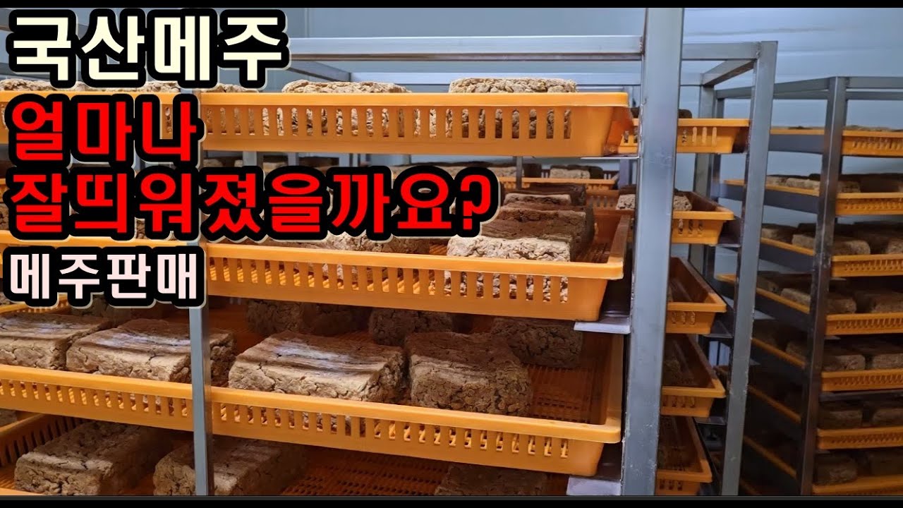 2025년 국산메주 얼마나 잘띄워졌을까요 매주판매 매주예약받습니다