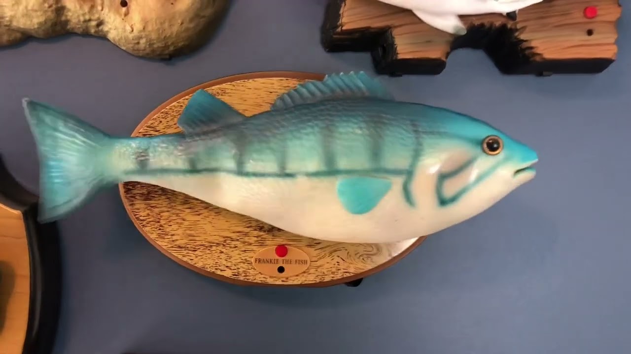 2022 Bonelop Custom Frankie Fish - sea cruise (remake)