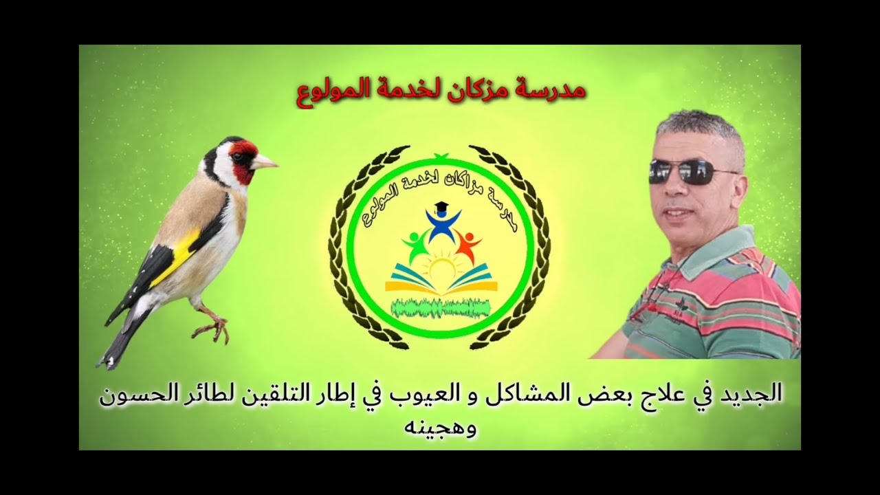 الجديد في علاج المشاكل و العيوب لطائر الحسون و هجينه