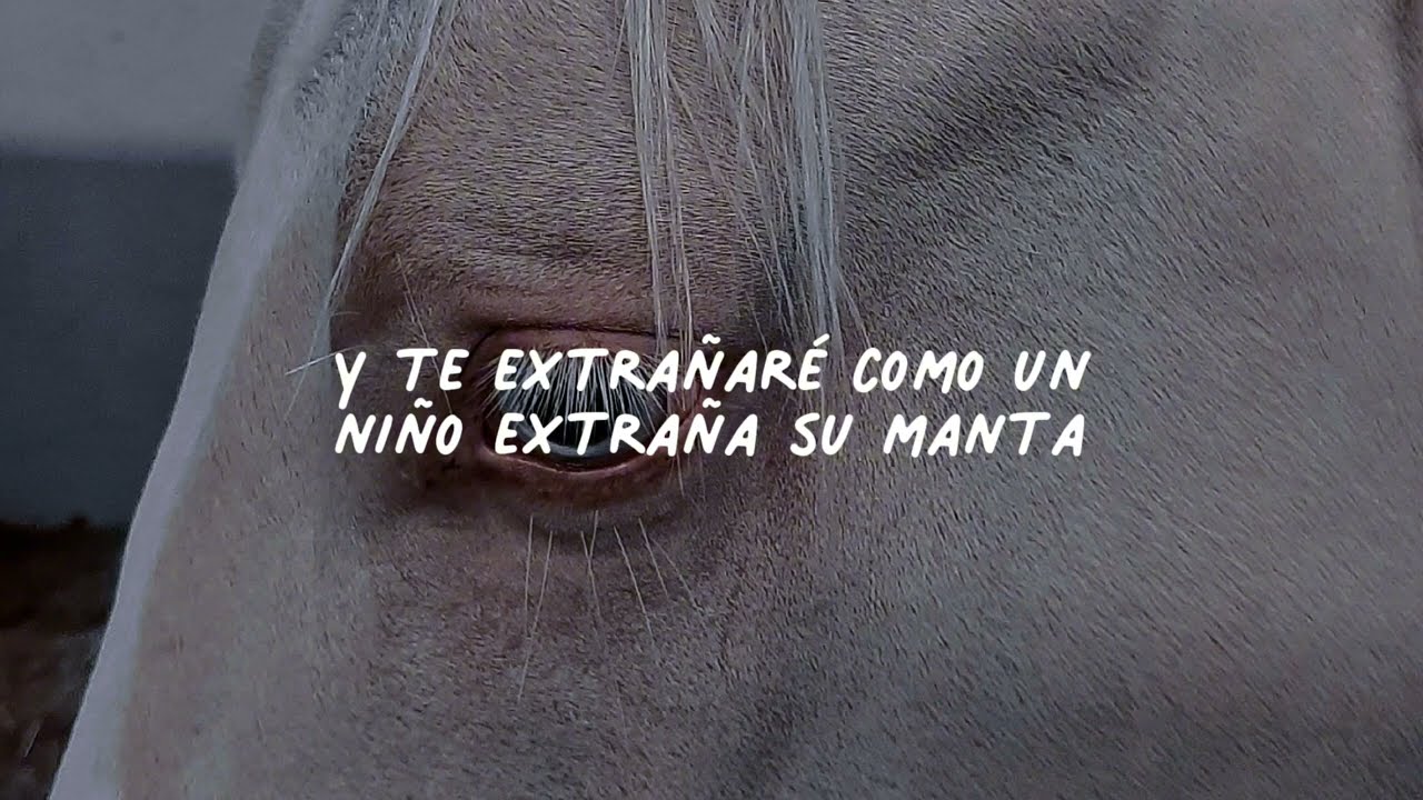 Victoria Justice & Toby Gad - Big Girls Don't Cry (Letra Español)