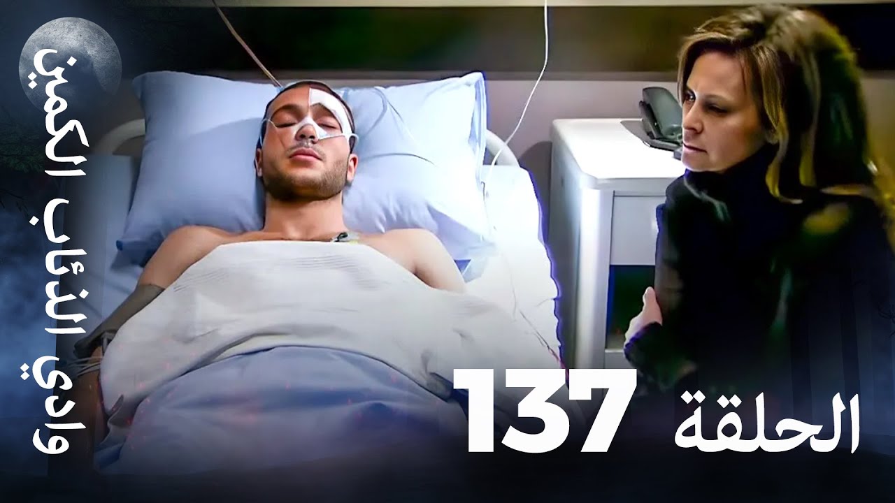 وادي الذئاب الكمين - الحلقة 137 بجودة عالية الدقة