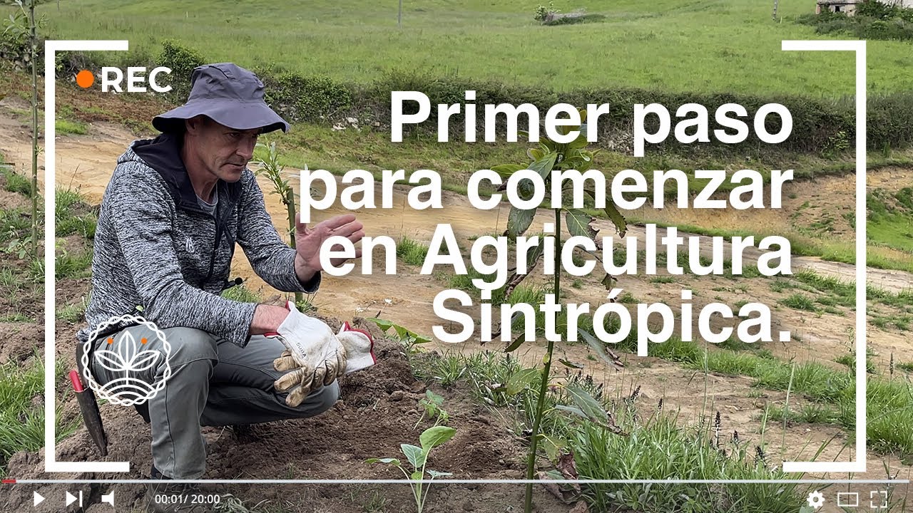 Primer paso para empezar en Agricultura Sintrópica