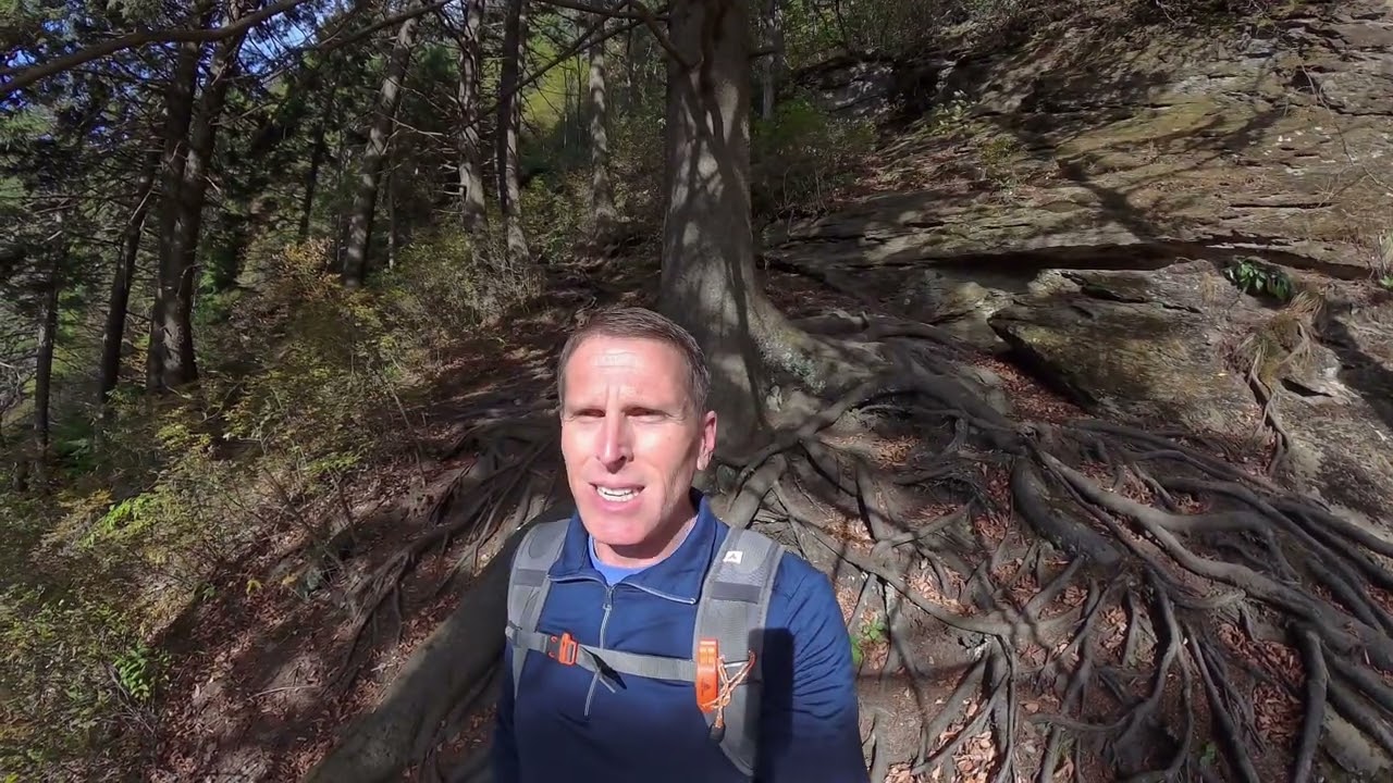 Mt. Le Conte Tennessee - October of 25