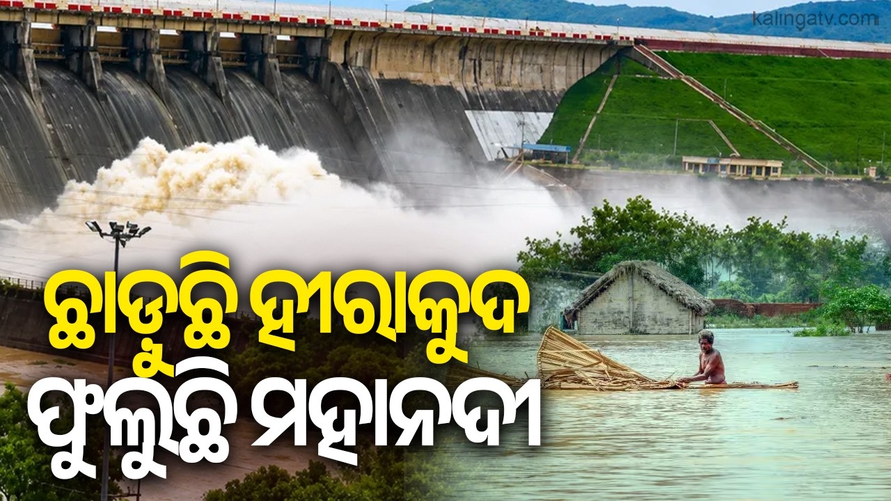 Mahanadi Water Level Rises as Hirakud Dam Opens More Gates | Kalinga TV