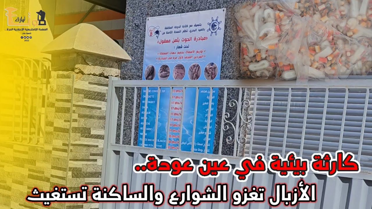 مبادرة “الحوت بالثمن معقول معمل الحوت بعين عودة ”.. ولكن الواقع فالسوق شيء آخر!