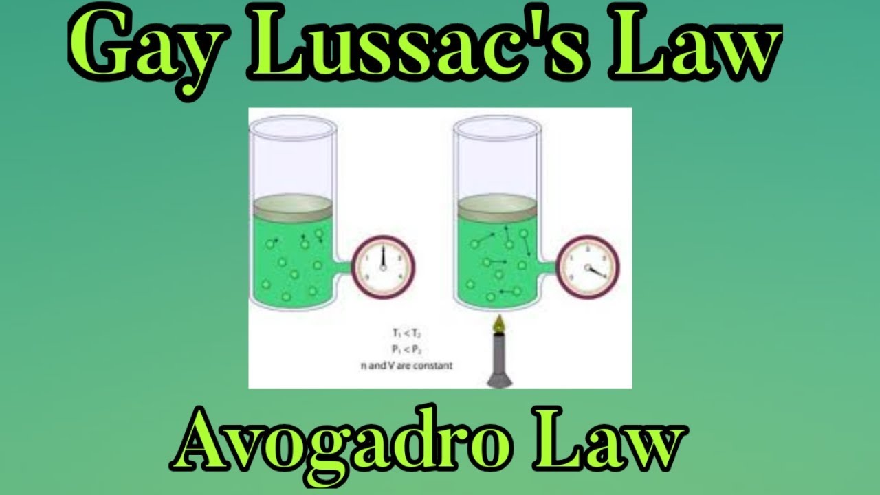 Gas Laws -4/ States of Matter/ 11th Chemistry in Malayalam