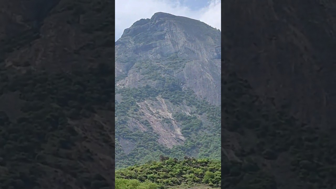 Kerala Mountain | Kerala Tamil Nadu Border | #malayalam #kerala #tamilnadu #travel #outdoor