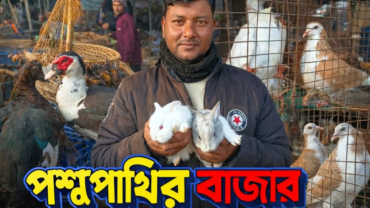Village Market | বাগজোলা পশু পাখির হাট | Real Village Life 