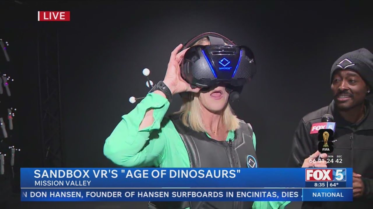 Sandbox VR's 