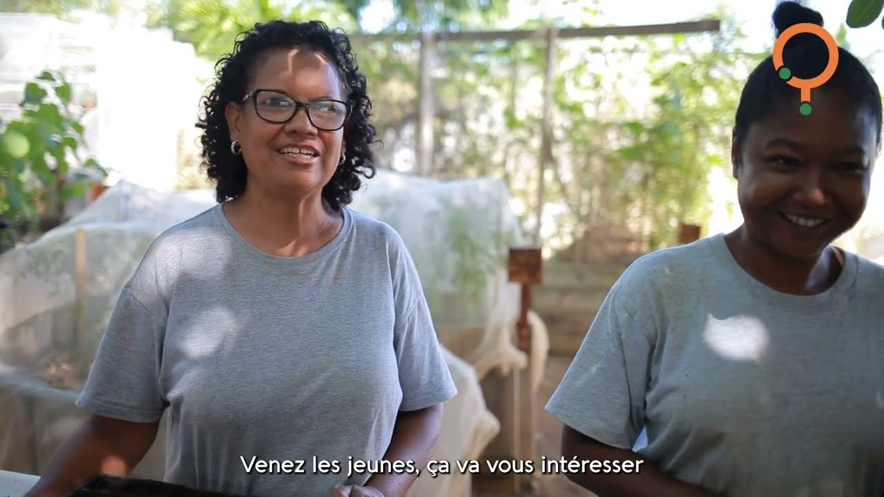An Grèn Koulèr : Bann Zardin Lavi