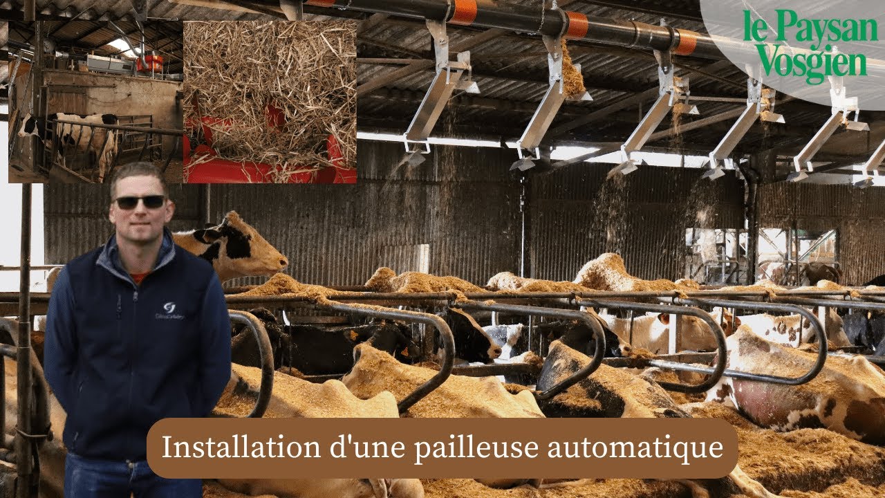 Installation d'une pailleuse automatique à l'EARL du Voicieux
