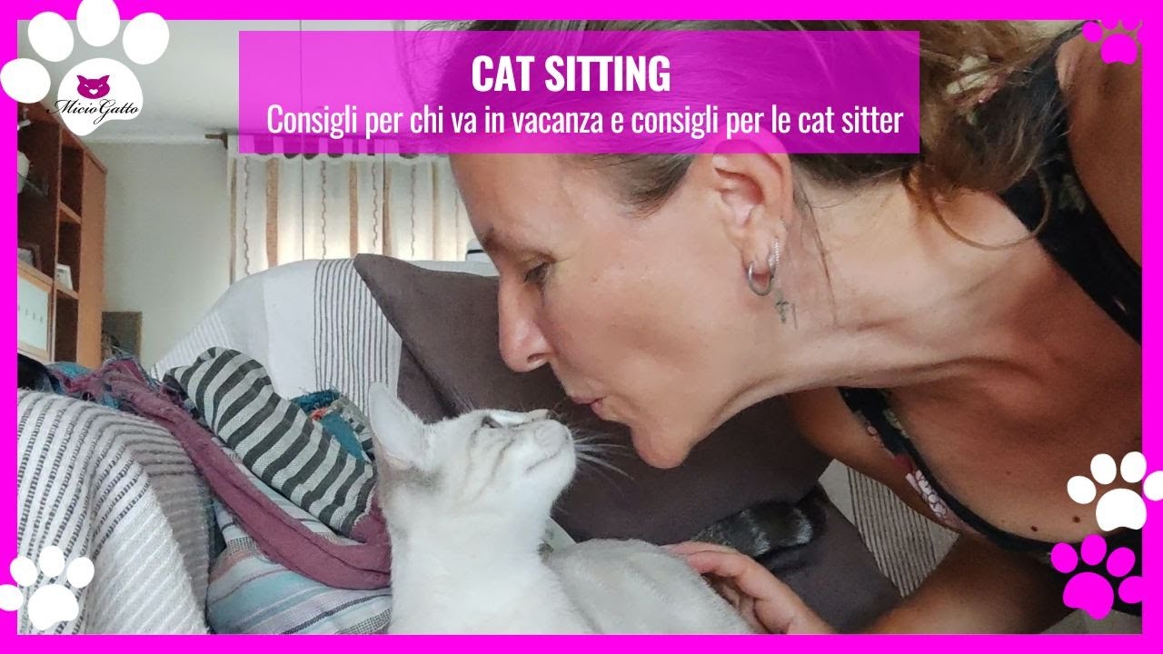 Come fare la cat sitter e come preparare casa quando si lascia il gatto da solo