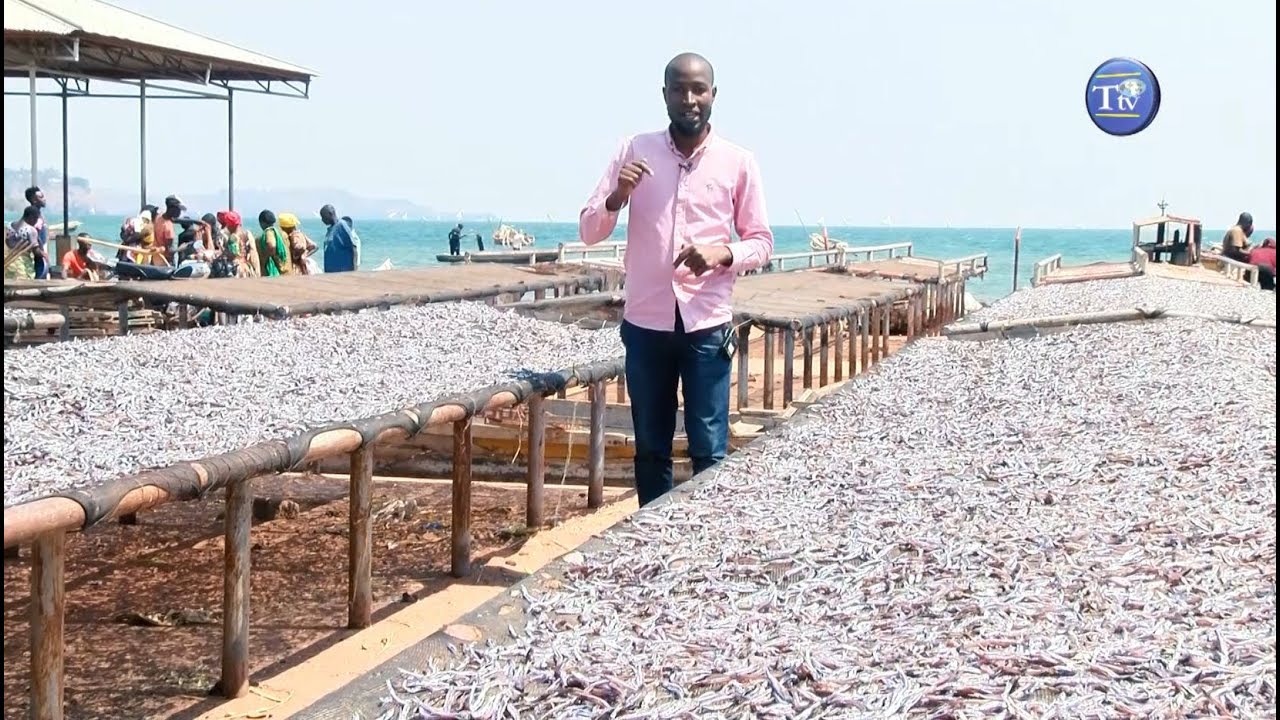 DAGAA WA KIGOMA WATAMBA KIMATAIFA