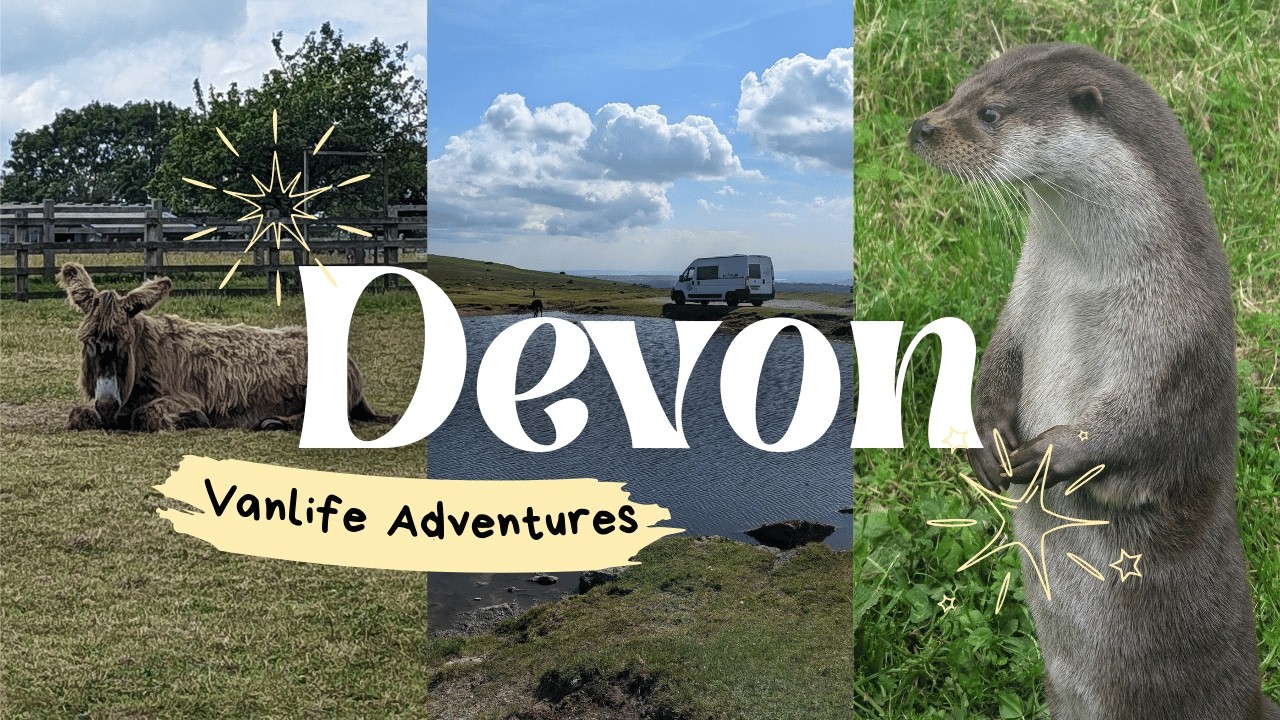 VANLIFE DEVON | Exploring Cheddar Gorge & Devon