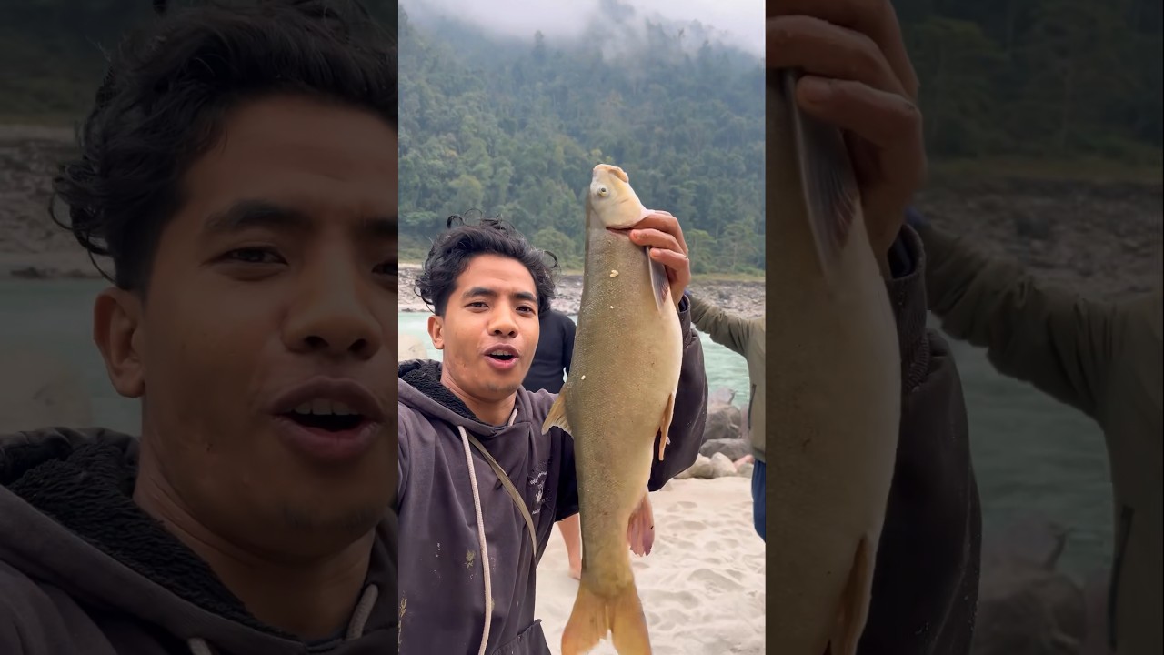 Siang River Trouts Fish (catch & Cook) 