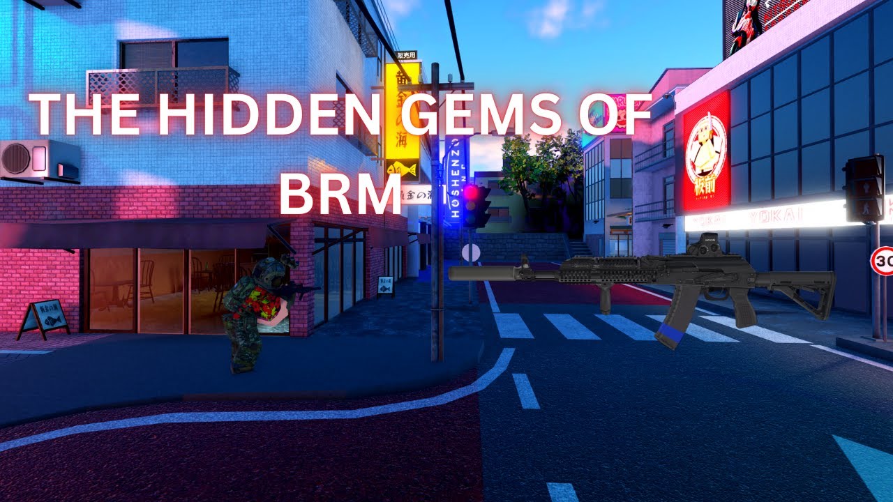 Most Underrated Guns for PVP | Blackhawk Rescue Mission 5