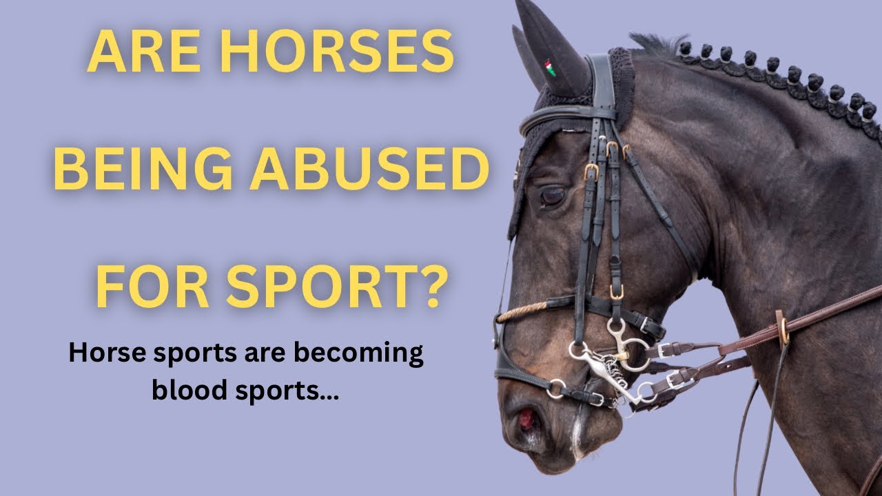 Horses Are Hurting: The Truth About the FEI&rsquo;s Weak Blood Rule and Welfare Failures