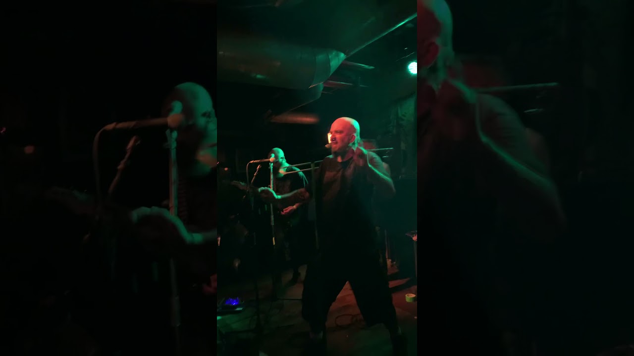 Public Serpents- Not Forever @ Reggie’s Music Joint 07/17/2021
