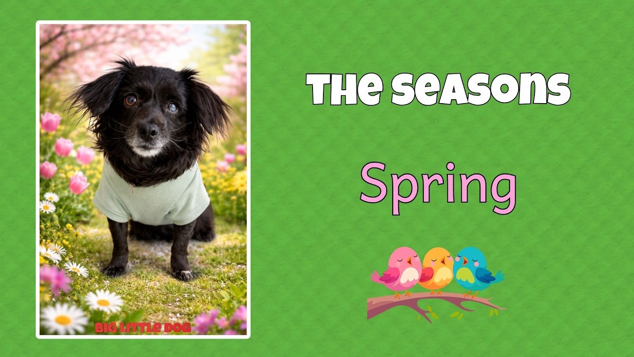 What Is Spring for Kids? | Learning the Seasons