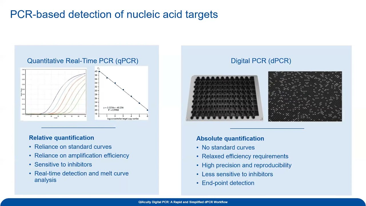 QIAGEN Seminar: QIAcuity, the Next-Generation of Digital PCR