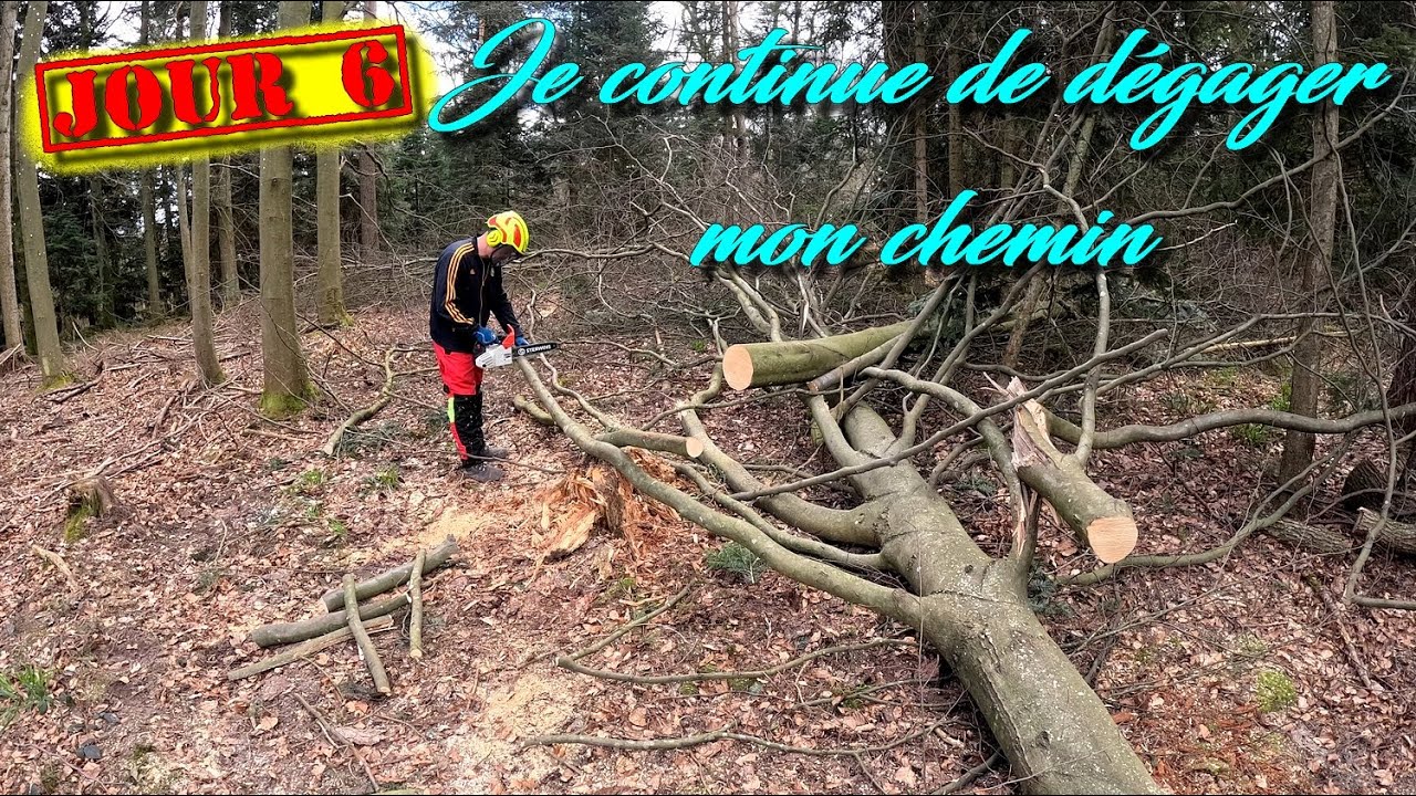 [EN MODE BUCHERON] J6- Arbres encroués & découpe de souches pour libérer le chemin 🌳🪚🌲🪓🪵