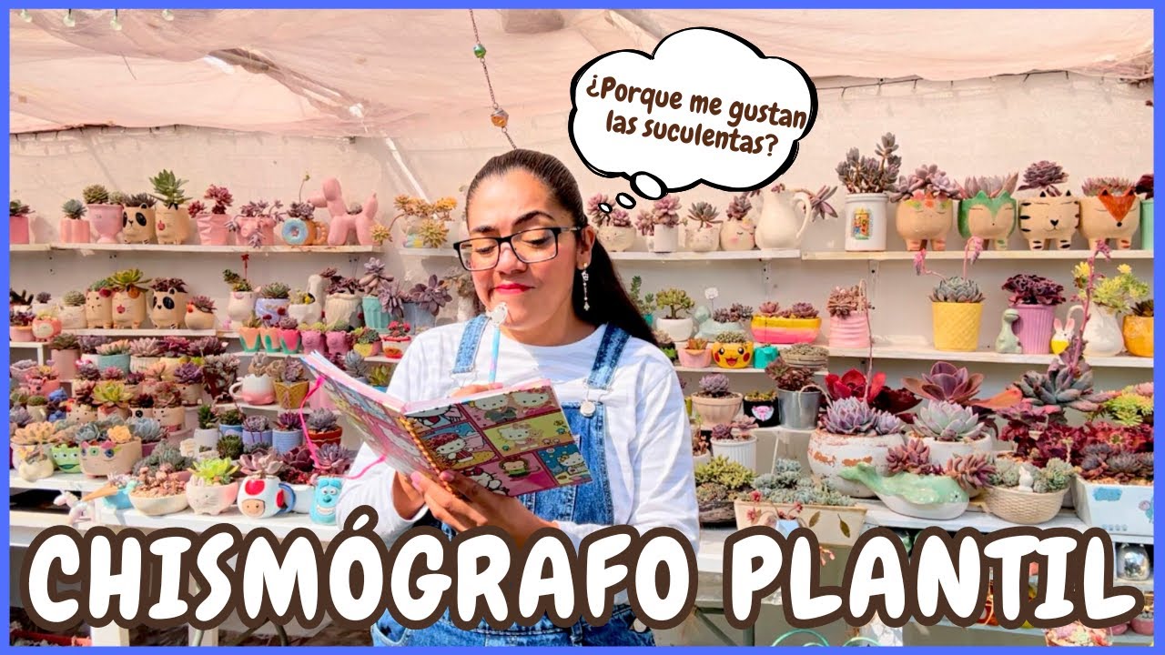 CHISMOGRAFO PLANTIL SUCULENTO | HISTORIAS CON LAS SUCULENTAS Y EL JARDIN