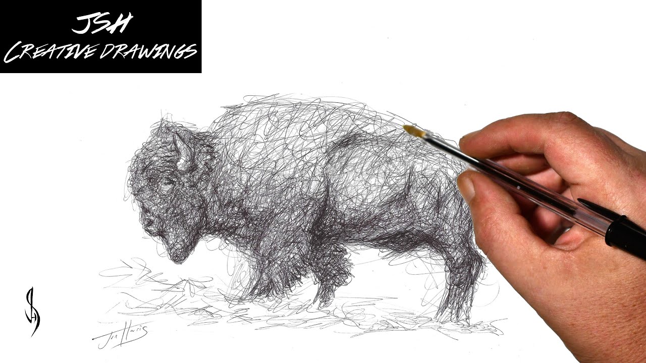 How to Sketch Draw a Buffalo with a Ballpoint Biro Pen