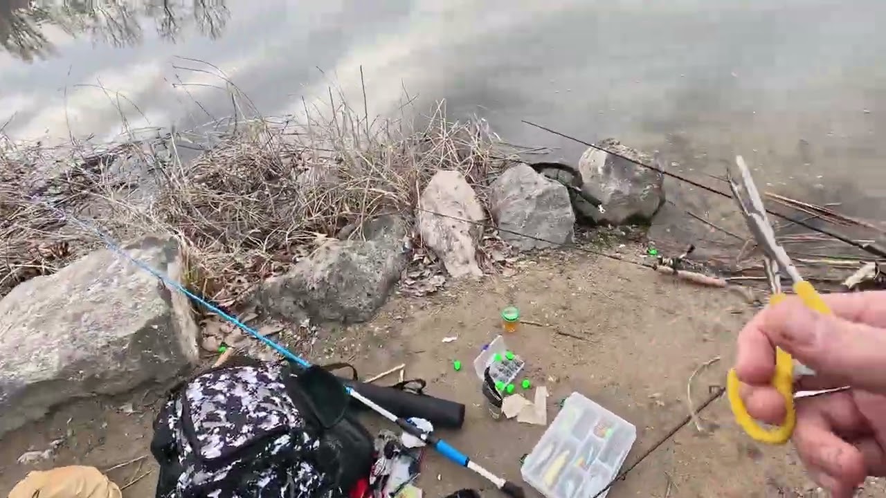 Fishing for rainbow trout 
