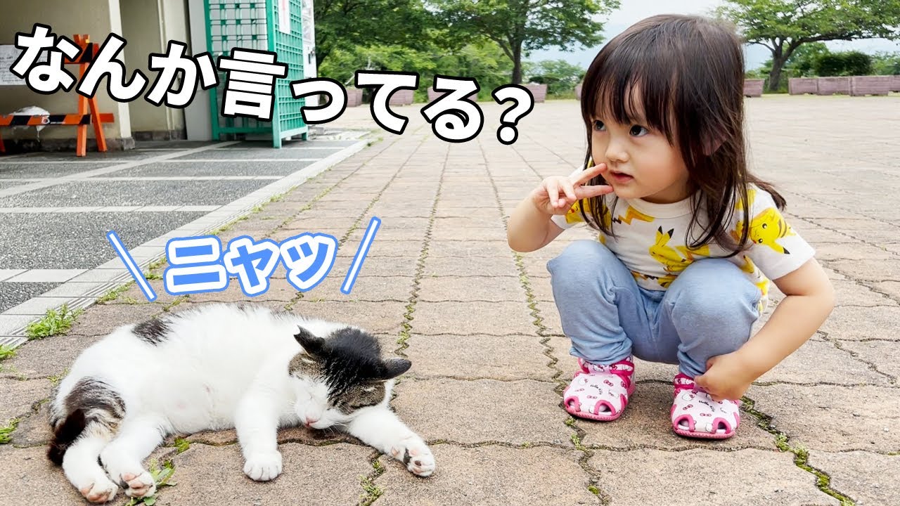 寝言を言う野良猫とお喋りしたい3歳娘　／　A Japanese girl wants to chat with a stray cat that talks in its sleep.