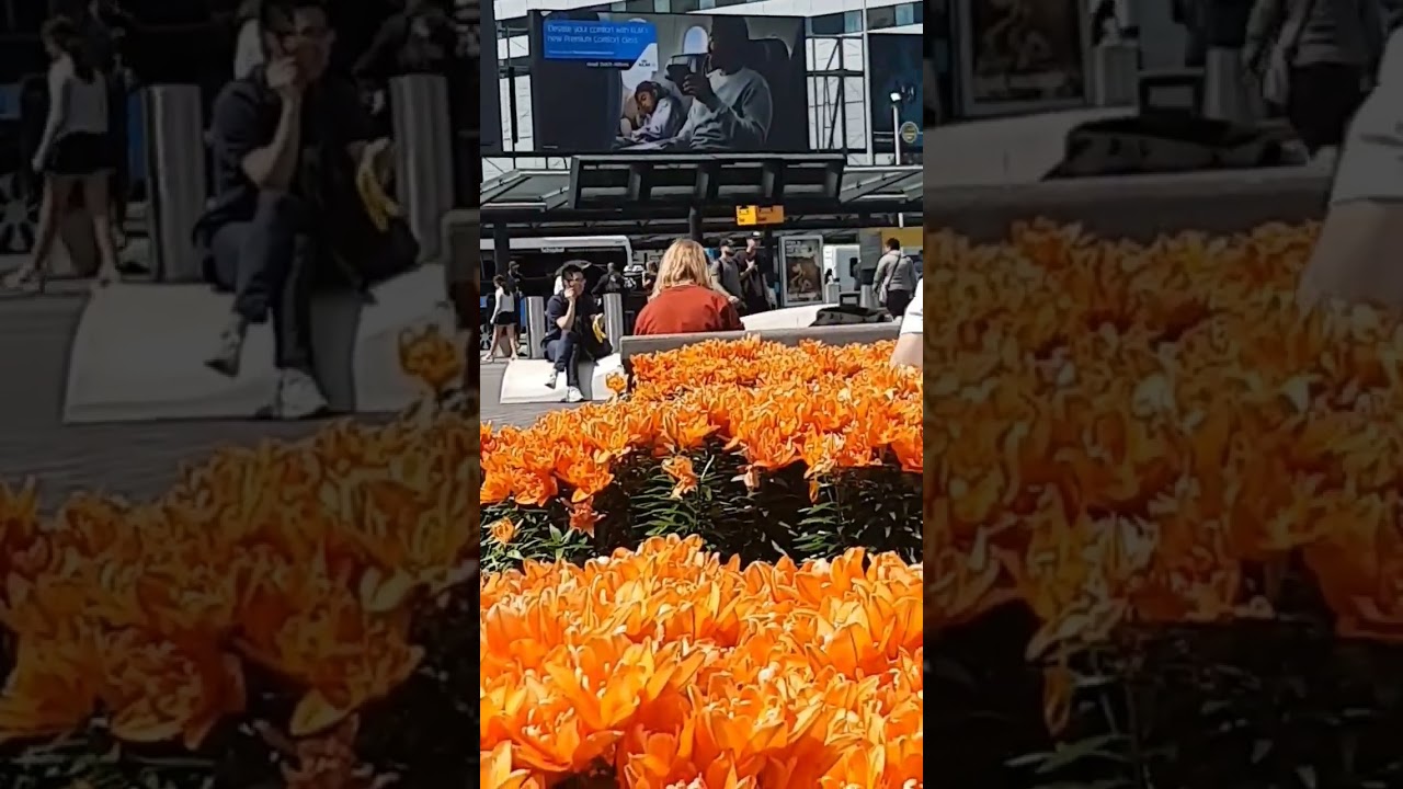 schiphol plaza amsterdam