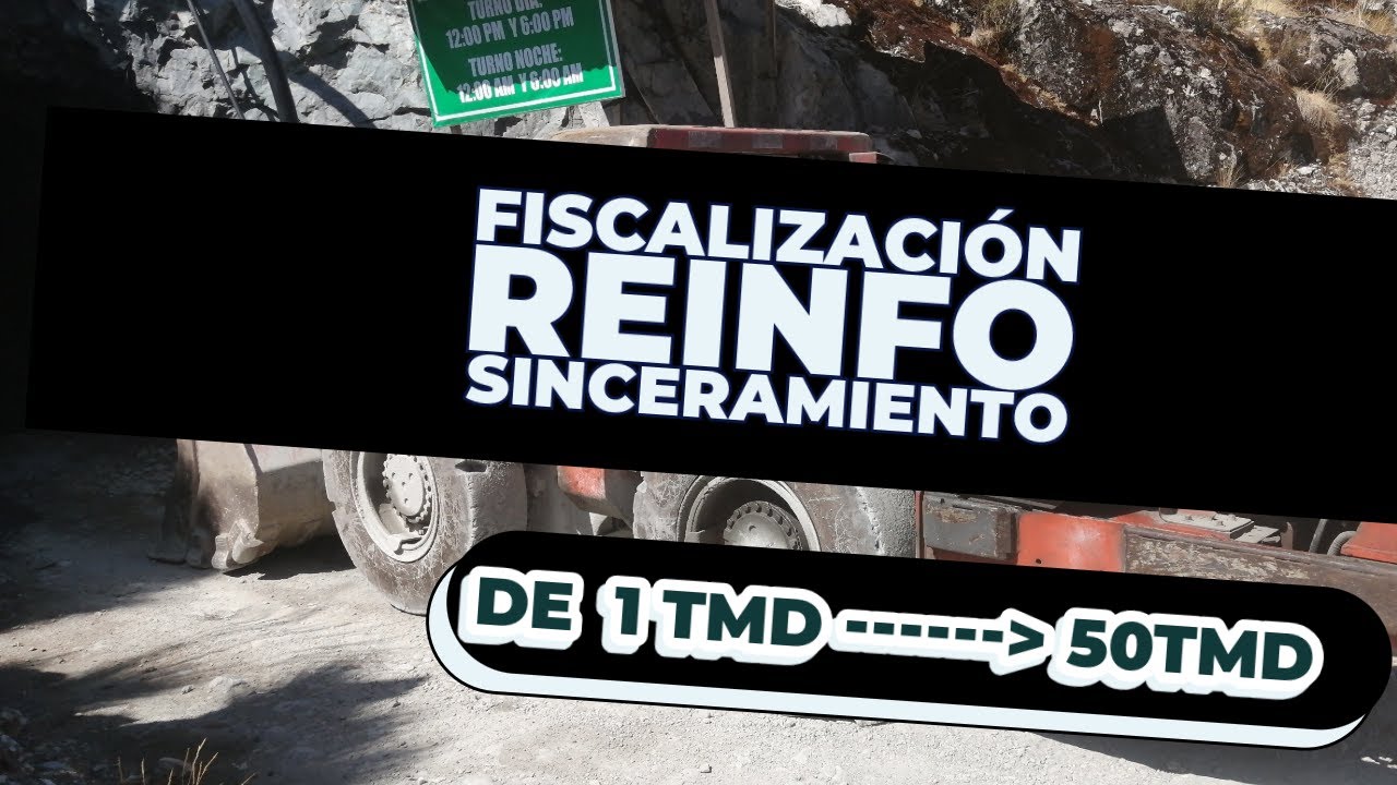 FISCALIZACIONES  DGFM/MINEM AL REINFO 2025 - SINCERAMIENTO DE ACTIVIDADES MINERAS