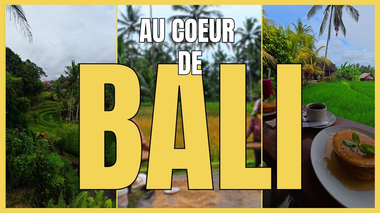 FAIRE du BENEVOLAT à BALI, ça donne quoi ?