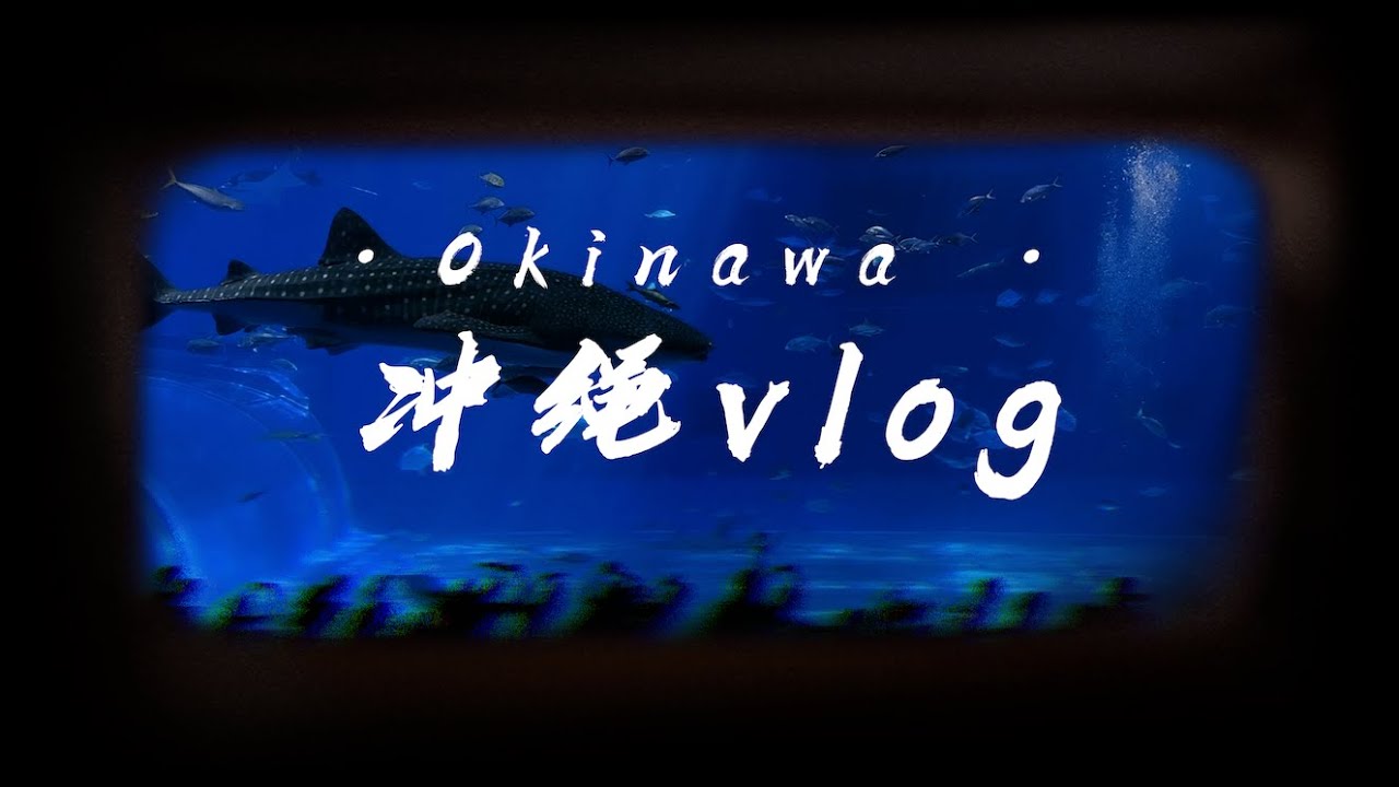 一场说走就走的旅行，沉浸在宫崎骏的世界｜Vlog in Okinawa｜冲绳｜万座毛｜美丽海水族馆